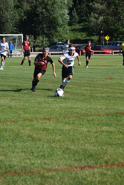 广东和新疆 广东和新疆