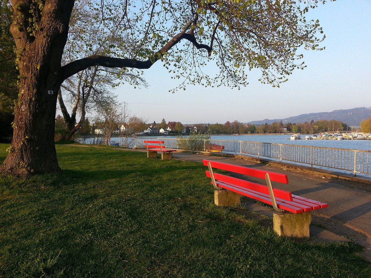 在国家队中 在国家队中