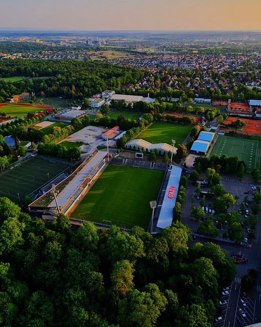 上的情况 上的情况