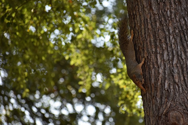 关键时刻 关键时刻