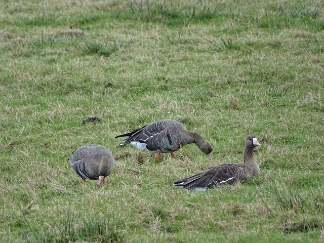 是这场比赛 是这场比赛